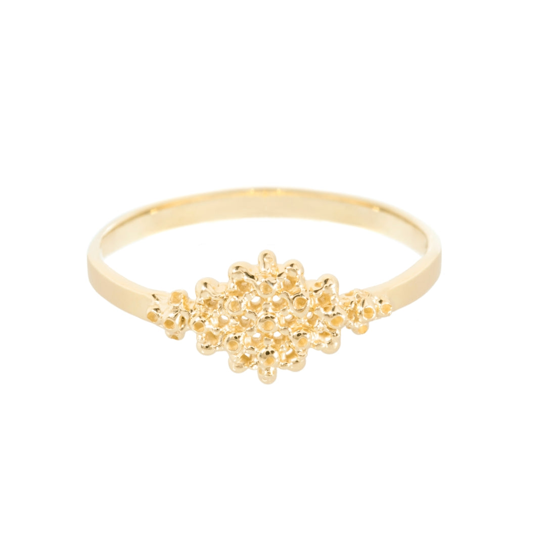 Coloured Ruta Rings Ore Ring | Rings by Ruta Reifen Jewelry